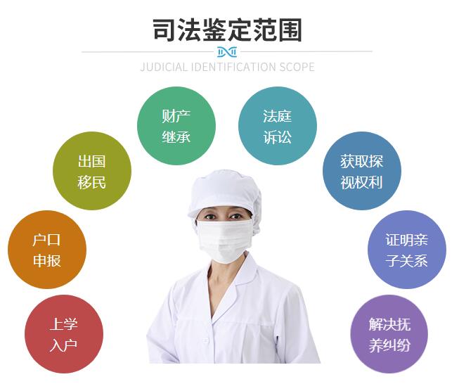 亲子鉴定