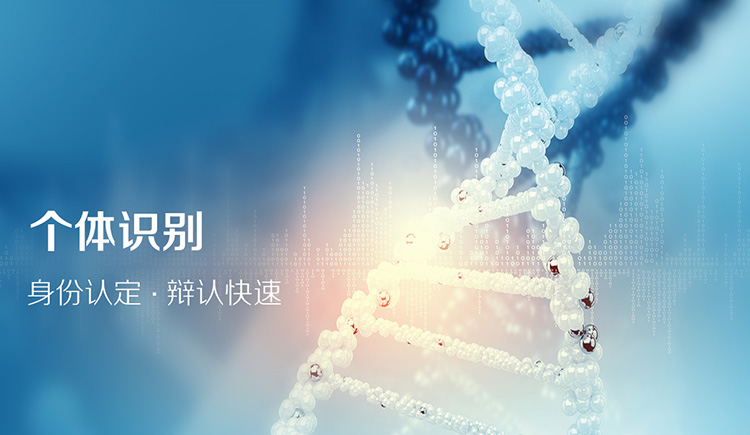 落户亲子鉴定