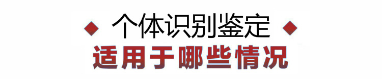 落户亲子鉴定